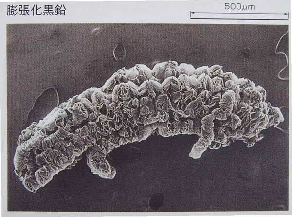 可膨胀石墨 高纯石墨;球形石墨;电池粉;酸碱高碳; 青岛兆益石墨厂